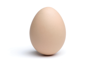 egg